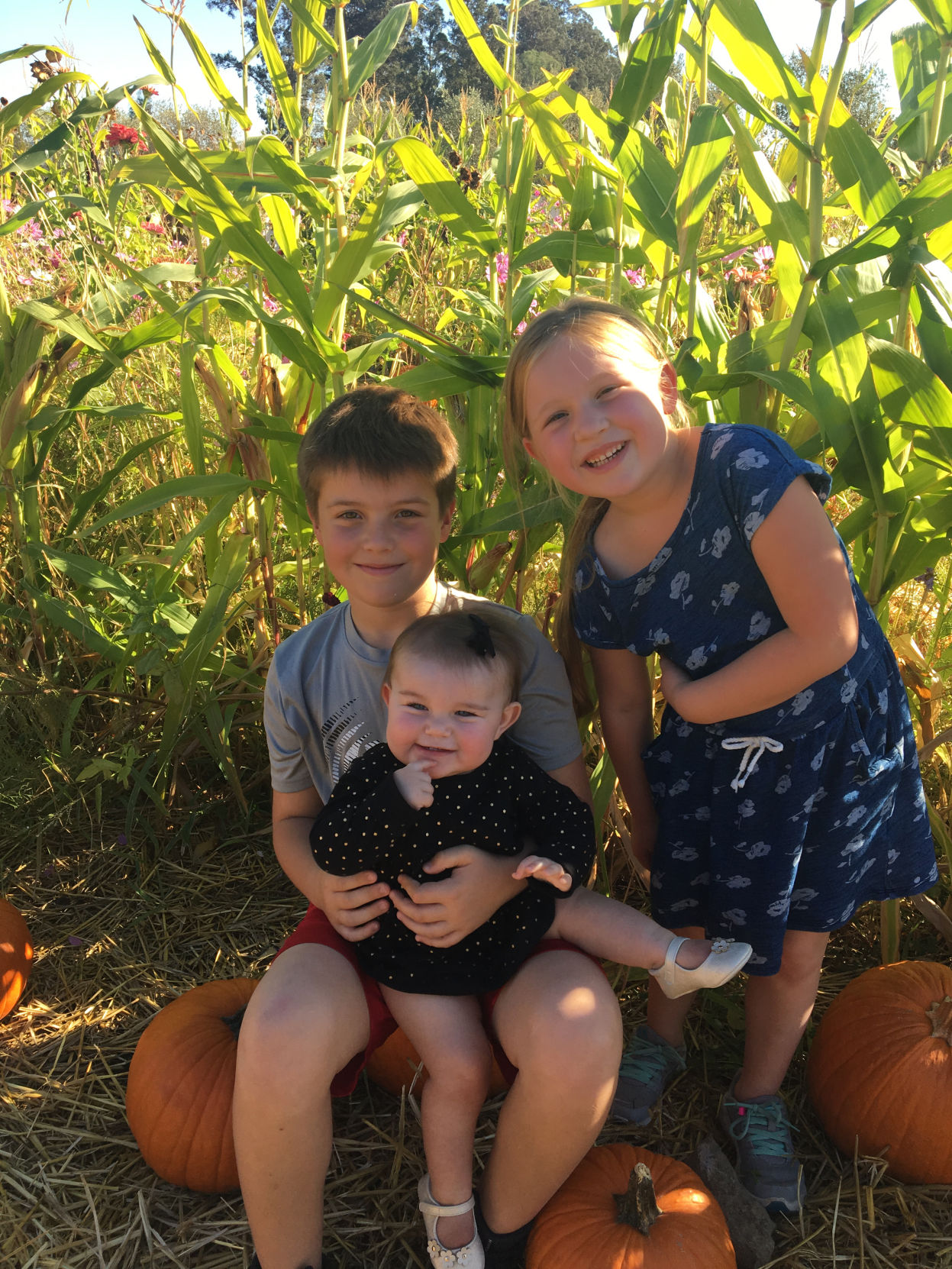 Picking Pumpkins 2017
